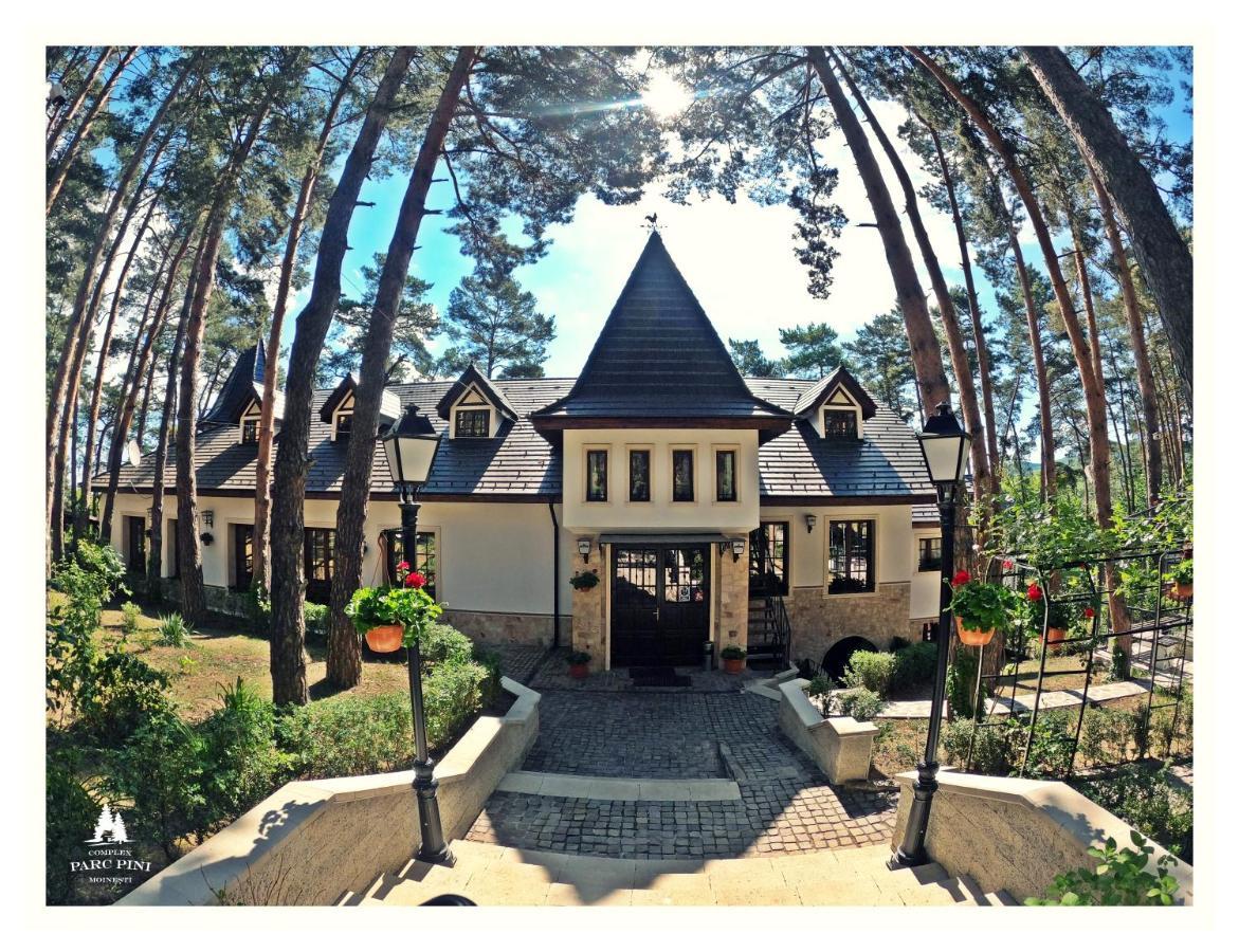Complex Parc Pini Moinesti Moineşti Exterior foto