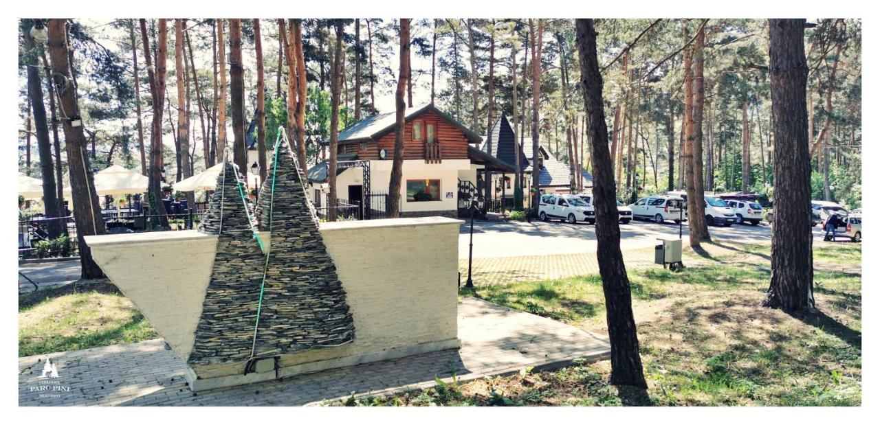 Complex Parc Pini Moinesti Moineşti Exterior foto