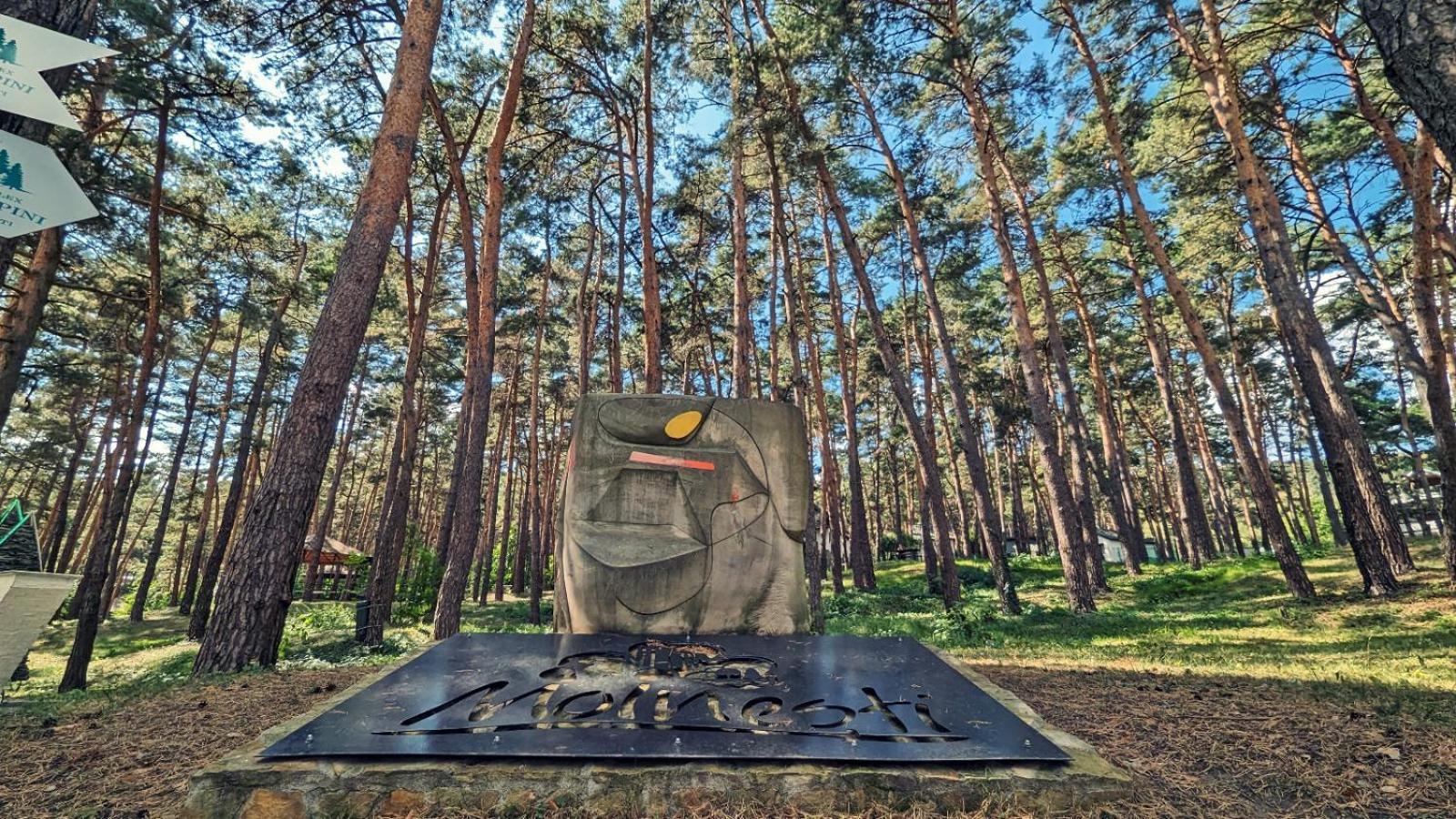 Complex Parc Pini Moinesti Moineşti Exterior foto