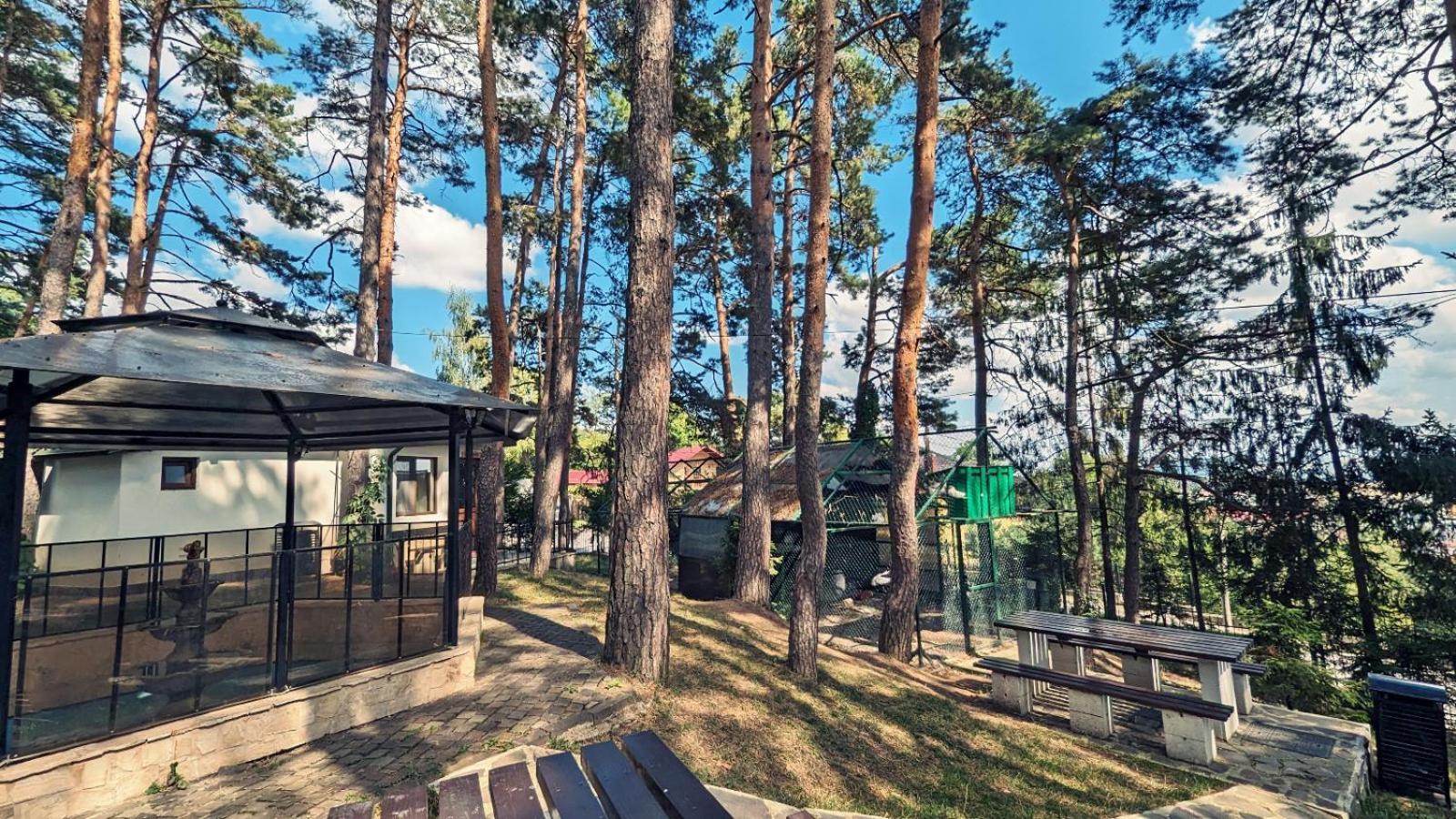 Complex Parc Pini Moinesti Moineşti Exterior foto